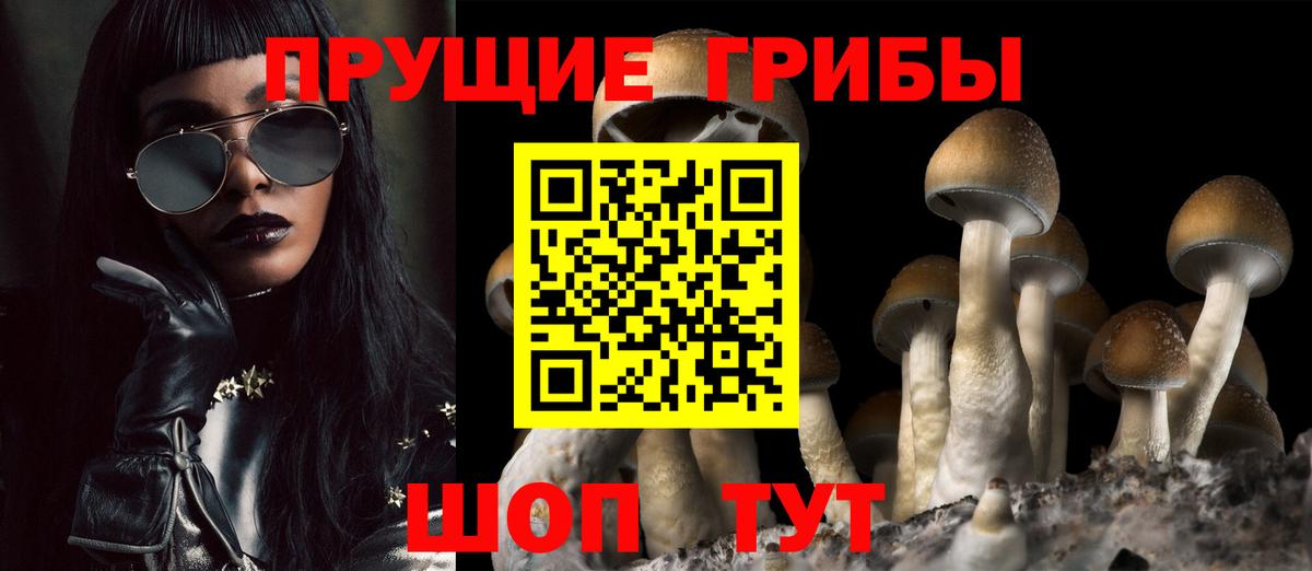 Новокубанск  Галлюциногенные грибы прущие грибы  Вход с VPN 